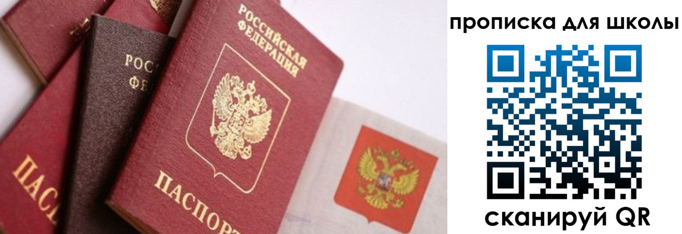 прописка поиск в Порхове